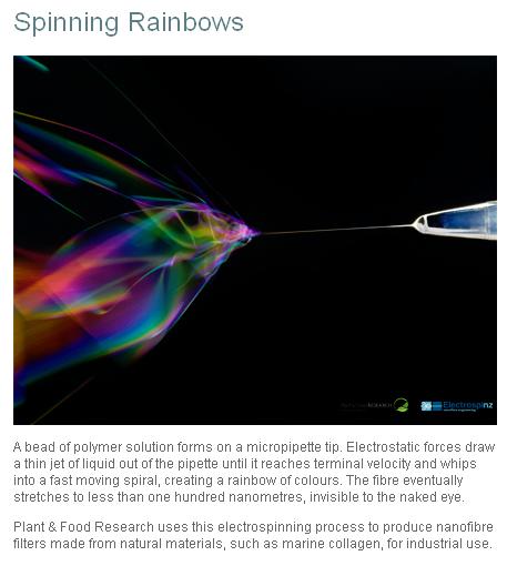 Plant & Food Research: Spinning Rainbows